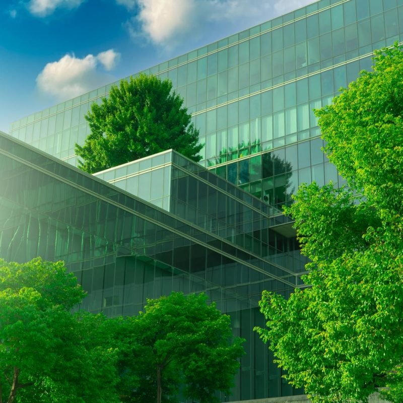 Eco-friendly building with vertical garden in modern city. Green tree forest on sustainable glass building. Energy-saving architecture with vertical garden. Office building with green environment.