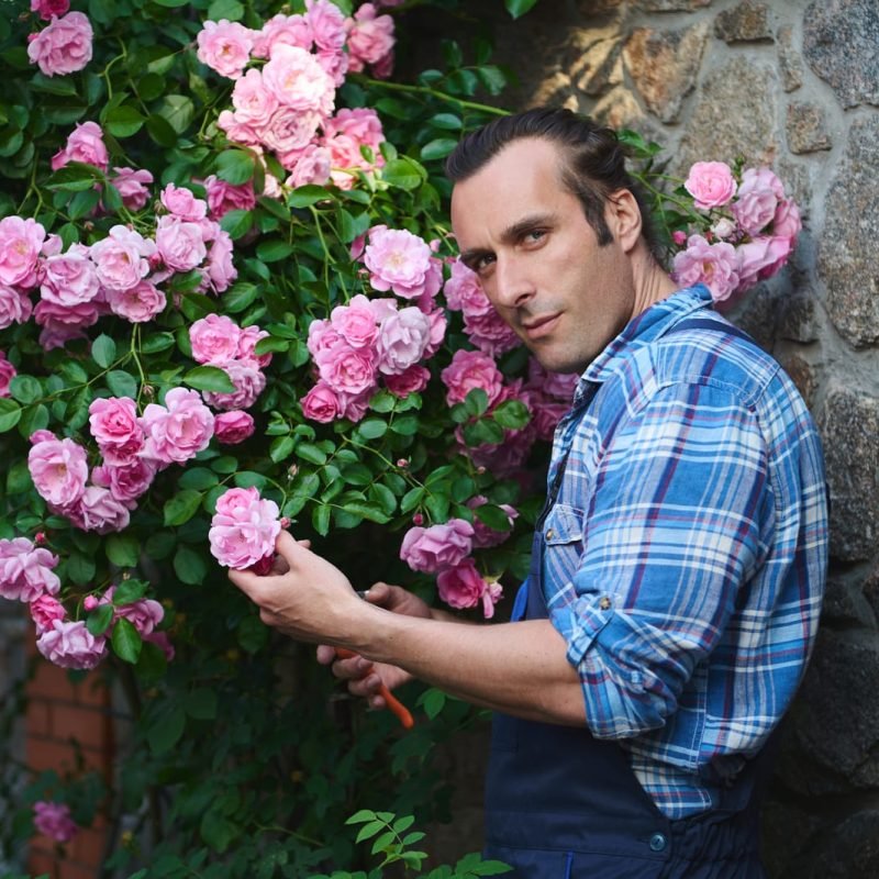 52964338_attractive-gardener-smiling-at-camera-cuts-roses-on-a-flowering-bush-maintains-the-landscape-of-the-mansion-courtyard